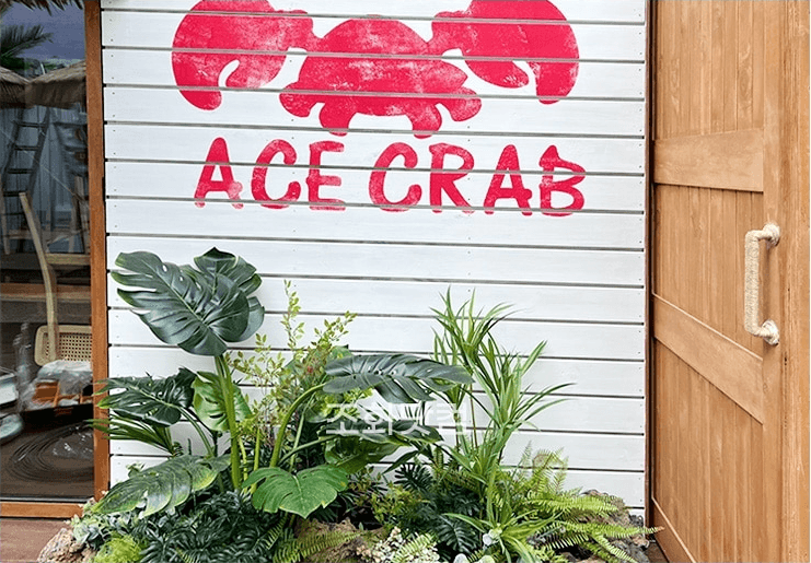 서울 에이스크랩 강남점 — ACE CRAB 사인과 식물이 어우러진 포토존