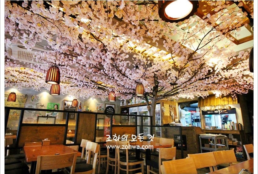 안동 전국지 옥동점 — 벚꽃 아래 여러 명이 앉는 자리