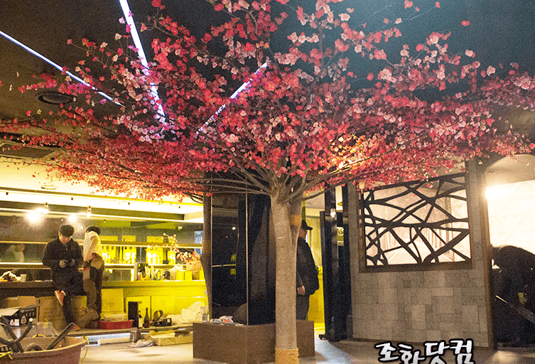 안양 LJ BAR — 기둥을 감싼 연리지 매화나무