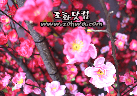 안양 LJ BAR — 진분홍 꽃송이가 촘촘한 인조 매화나무