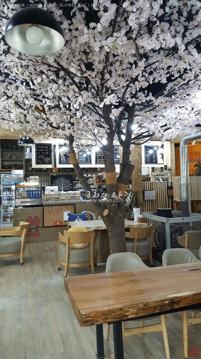 동해 아라카페 — 펜던트 조명이 비추는 벚꽃나무