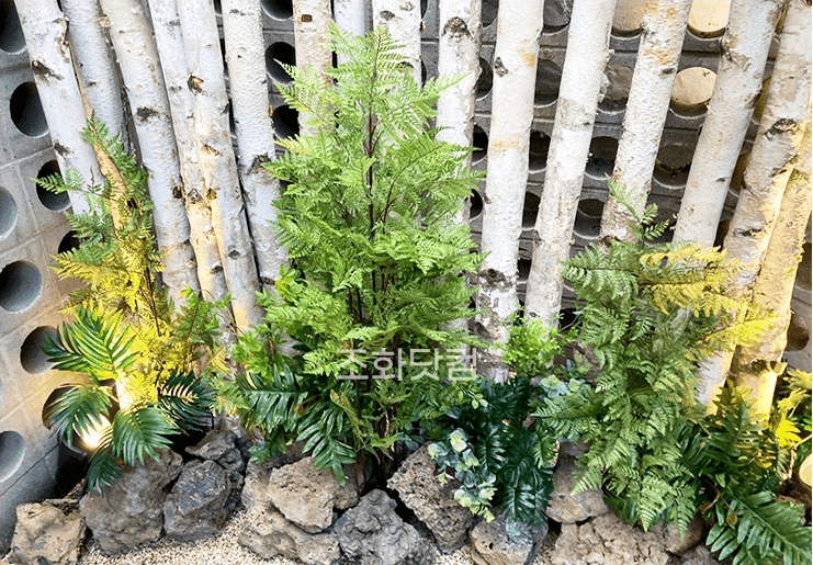 서울 에이스크랩 강남점 — 격자벽 앞에 큰잎 식물로 채운 그린 코너