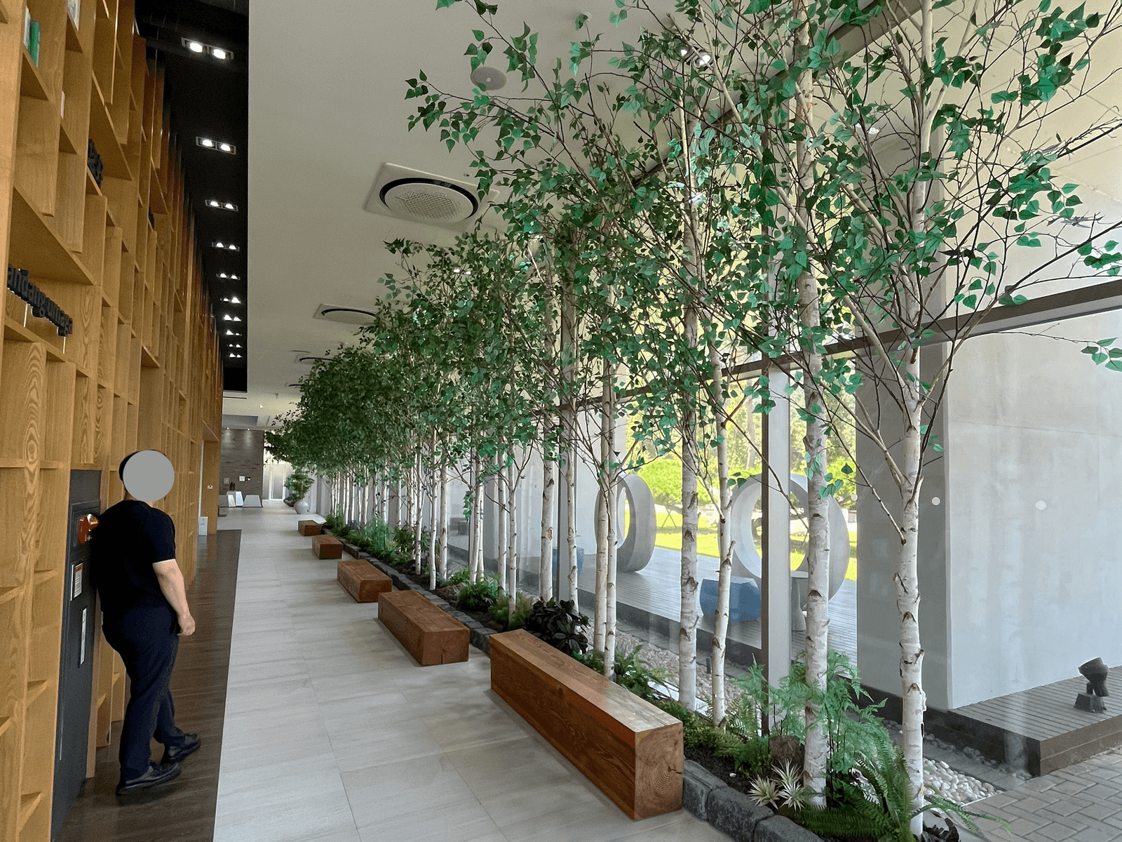 공주 애터미파크 — 벤치와 자작나무가 어우러진 라운지