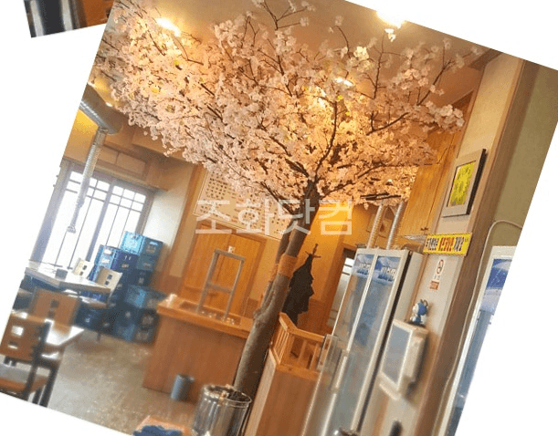 화성 벌집삼겹살 — 조명이 비추는 나무