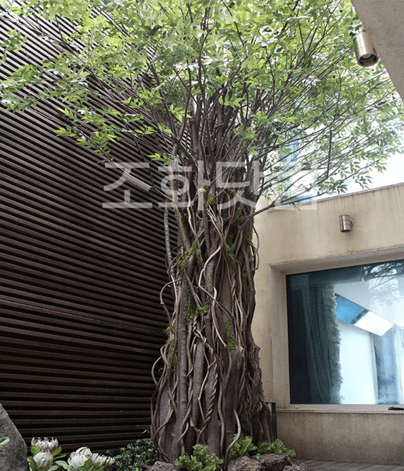 용인 비스하임 타운하우스 — 나무 한 그루로 완성된 중정