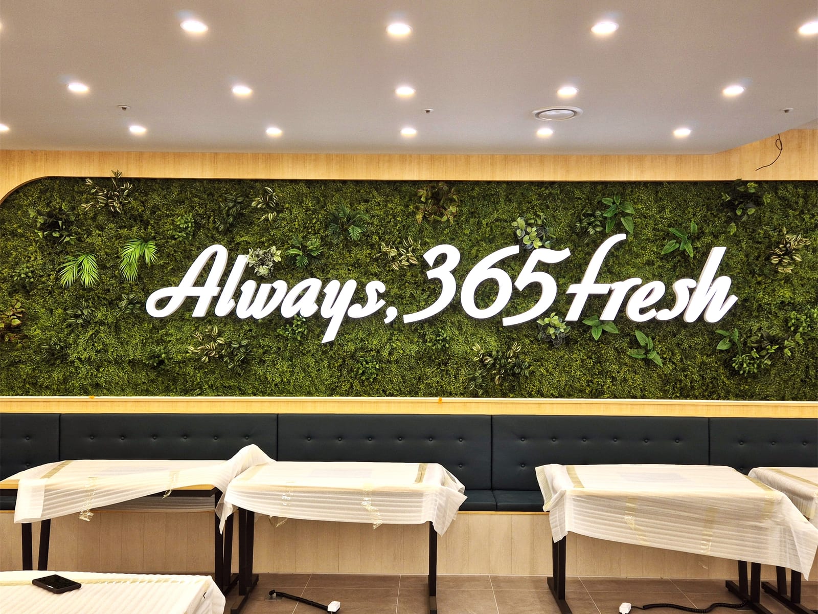 춘천 샤브올데이 — 좌석 뒤 벽면녹화에 흘림체로 Always, 365 fresh 문구를 넣은 모습