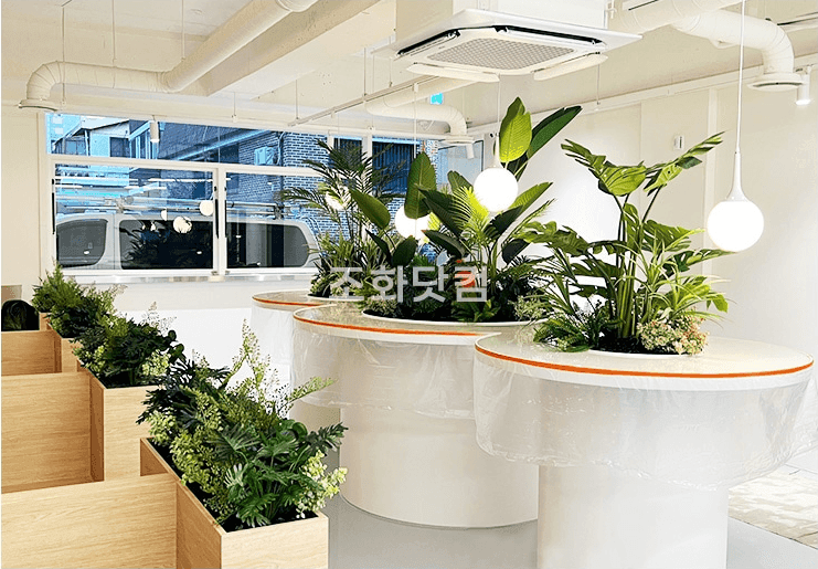 서울 글램독 그라운드 삼성점 — 통유리로 빛이 드는 밝은 펫카페에 낮은 원형 화단을 흩어 둔 전경