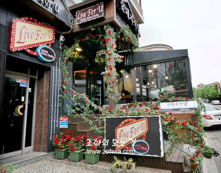 분당 꿀돼지식당 — 넝쿨이 감긴 매장 코너