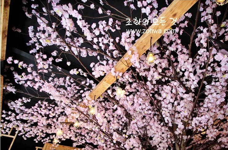 부산 만만코코로 해운대점 — 저녁에 화사한 벚꽃 캐노피