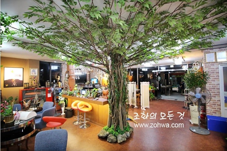 원주 카페두아 — 나무 아래 카페 좌석