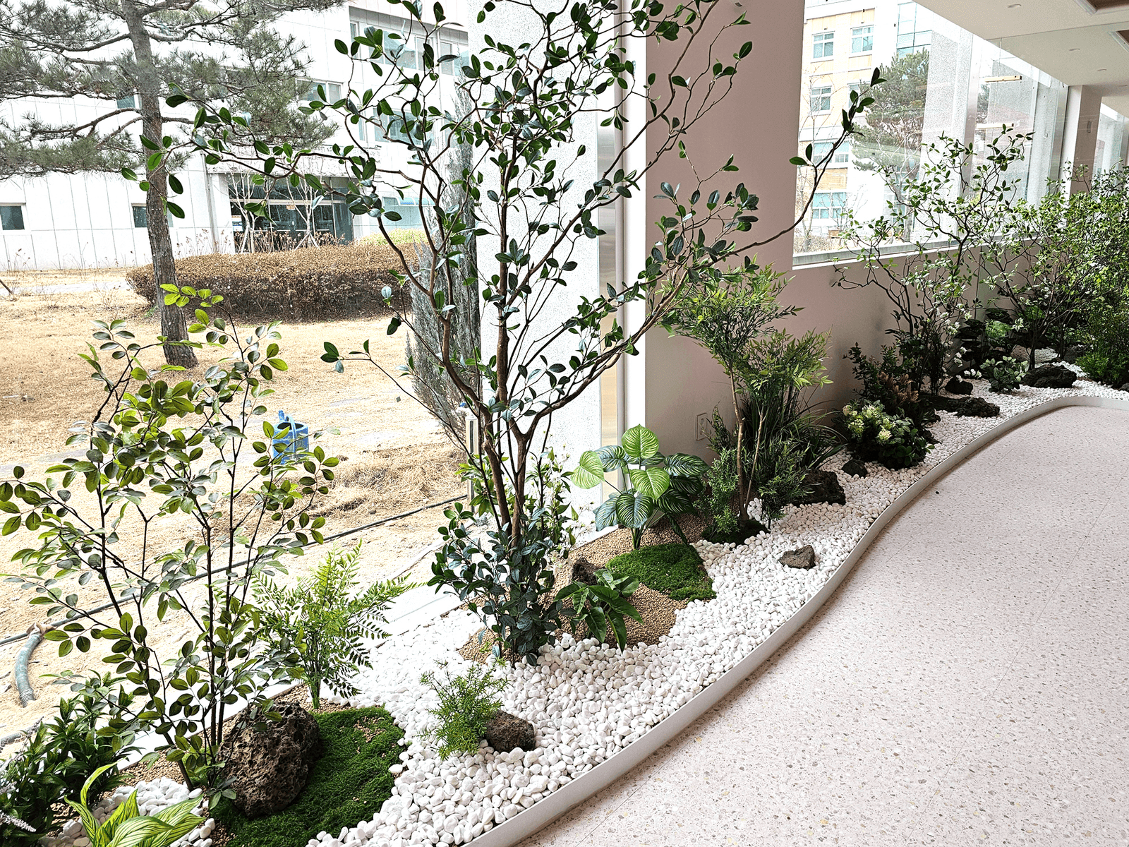 충북도립대학교 창가 화단 — 창밖 캠퍼스 풍경과 이어지는 인조나무와 관목, 흰 자갈 화단
