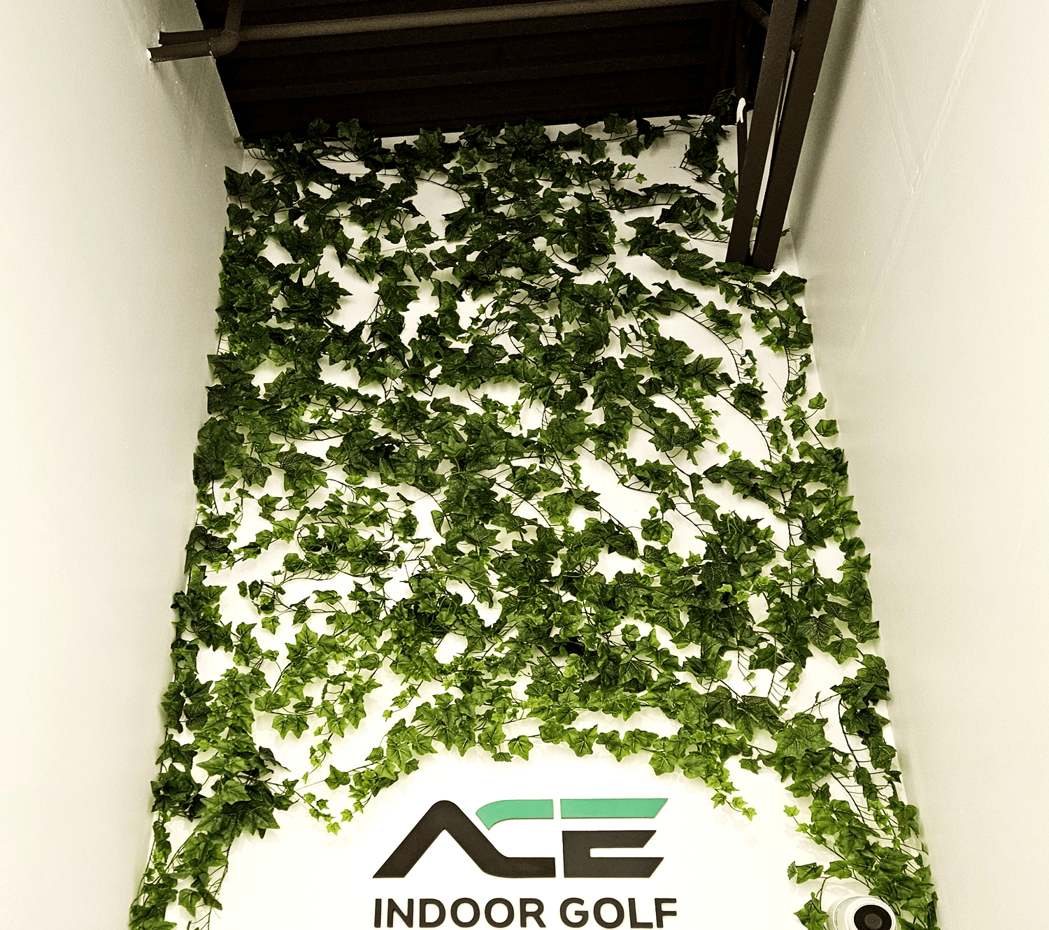 ACE INDOOR GOLF 로고 벽까지 이어진 넝쿨 포토존