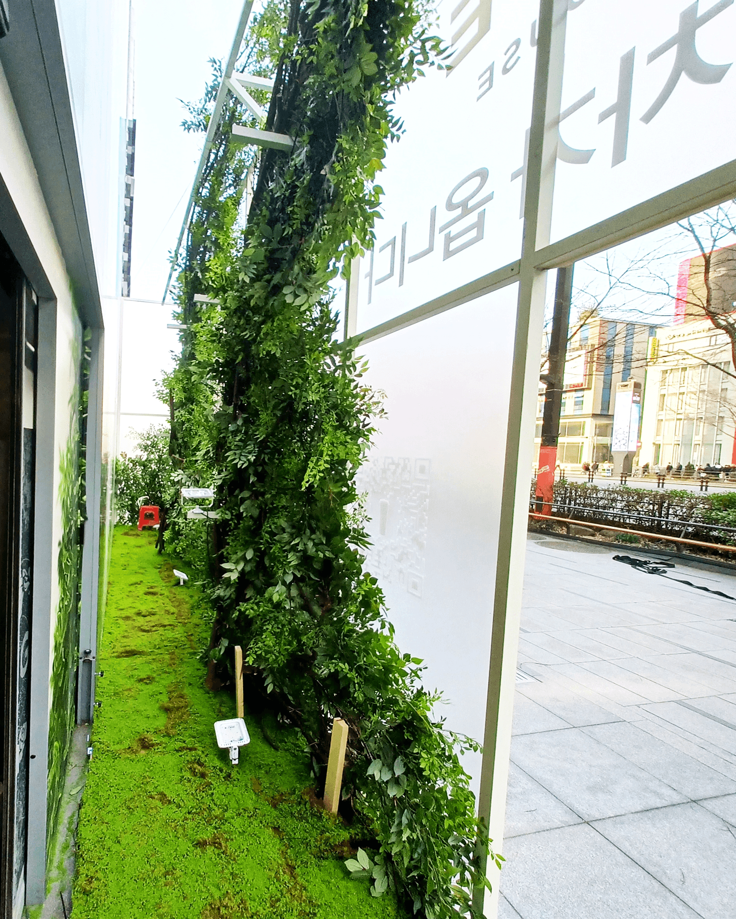 강남 CHAGEE — 인조이끼로 바닥을 덮은 가벽 안쪽