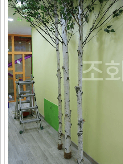 창원 키즈카페 마산점 — 초록 벽면에 맞춘 자작나무 코너
