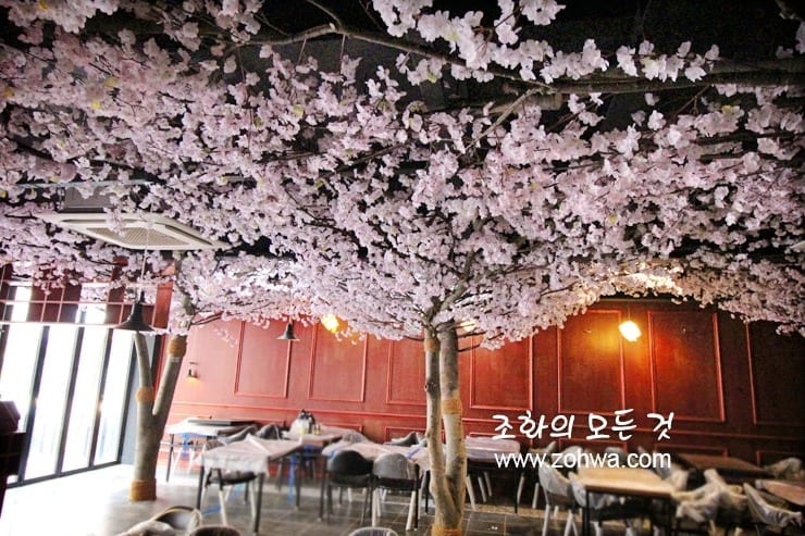 창원 몽상가 — 벚꽃 아래 여러 명이 앉는 자리