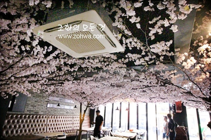 창원 몽상가 — 밤에 화사한 벚꽃 천장