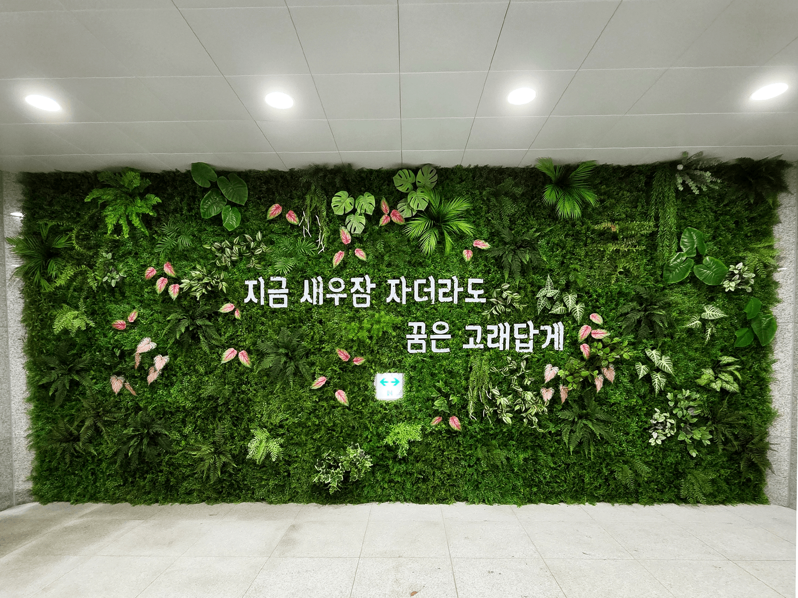 청주시청 — 행사 배경벽에 적용되는 레터링 벽면녹화