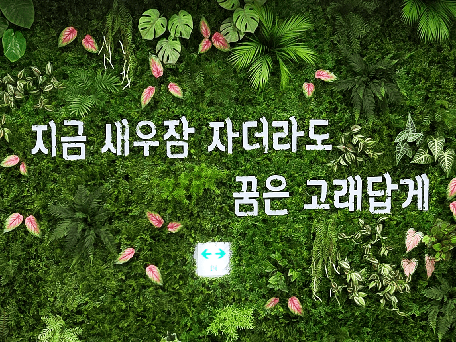 청주시청 — 문구와 인조식물 디테일