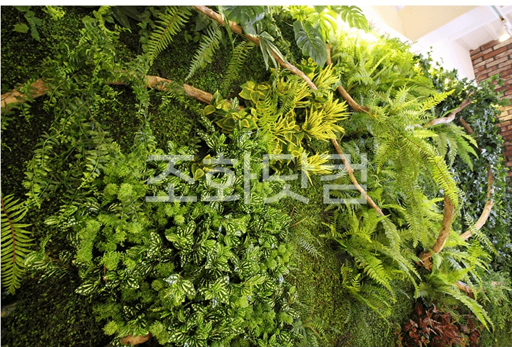 서울 커핀그루나루 올림픽홀점 — 잎 사이에 자리한 노란 꽃