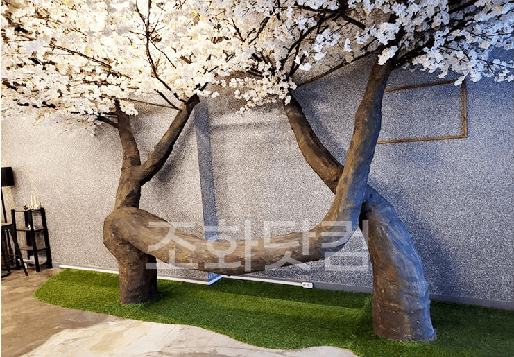 대구 커피한잔할래요 — 벚꽃나무 두 그루와 벤치가 만드는 촬영 자리