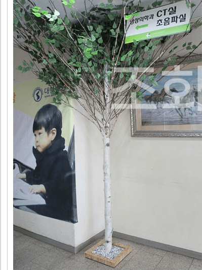 서울 인수동 대한병원 — 복도 폭에 맞춘 슬림 수형