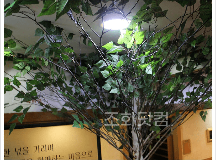 서울 인수동 대한병원 — 조명을 받은 잎사귀