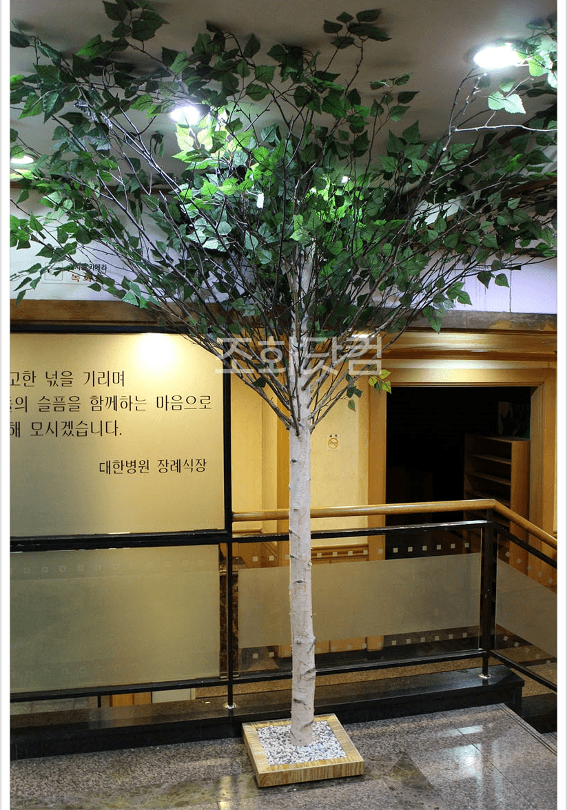 서울 인수동 대한병원 — 계단 옆 로비를 밝힌 자작나무