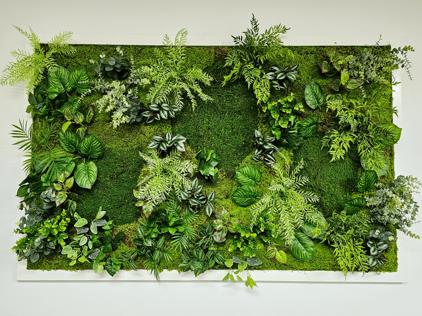 세종 다모테크 — 이끼 베이스에 식물을 조합한 액자 근접