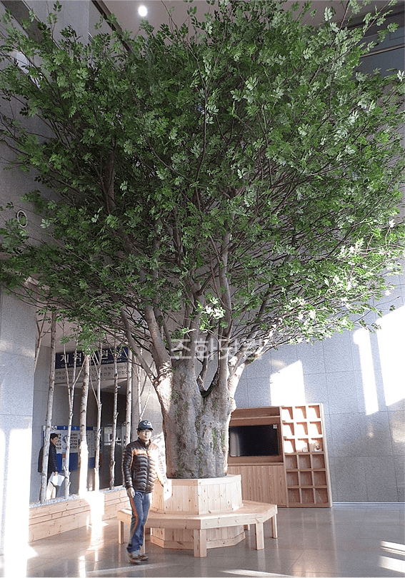 고양 덕양구청 로비 나무 아래 둘러 배치한 원형 좌석