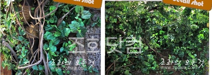 용산 아이파크몰 도토리숲 — 잎과 넝쿨의 디테일