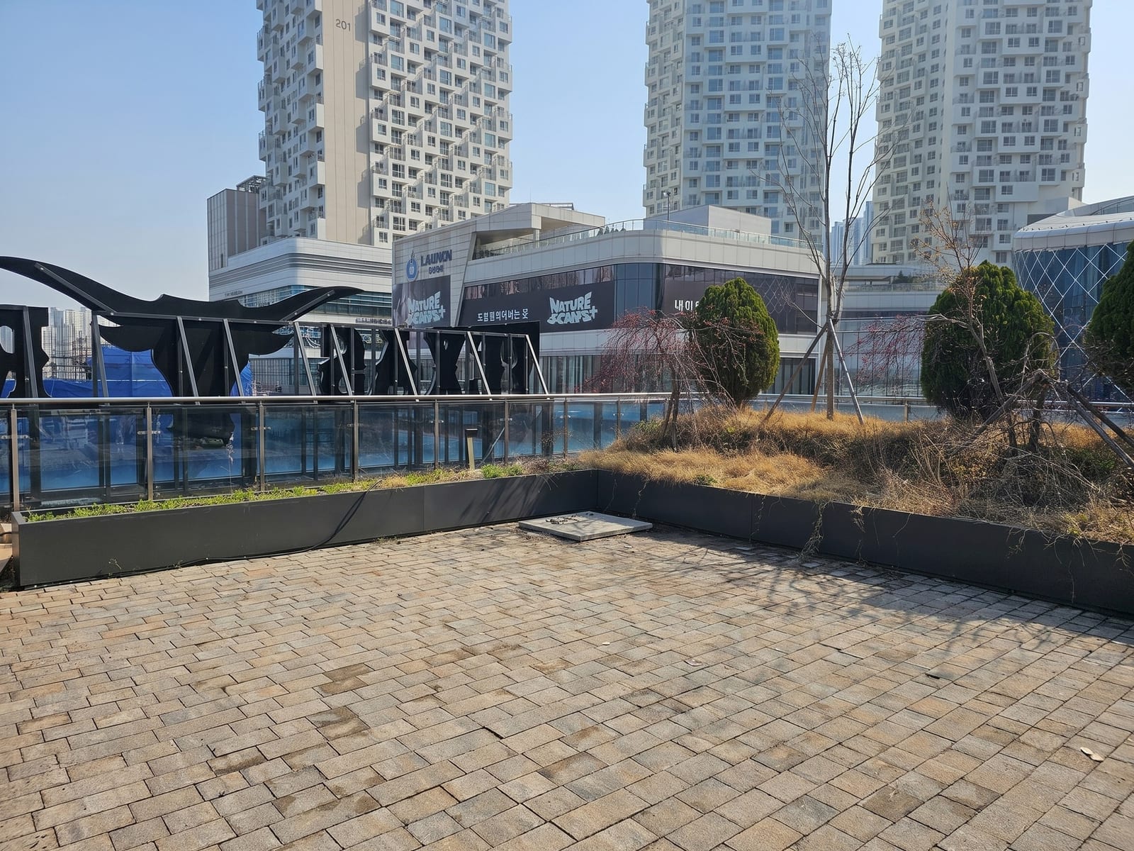 화성 동탄 텍사스랜치 — 시공 전, 마른 풀과 앙상한 나무만 남아 있던 야외 화단
