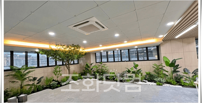 서울 가산동 한국후지필름 빛이 고른 안쪽에서도 유지되는 느티나무