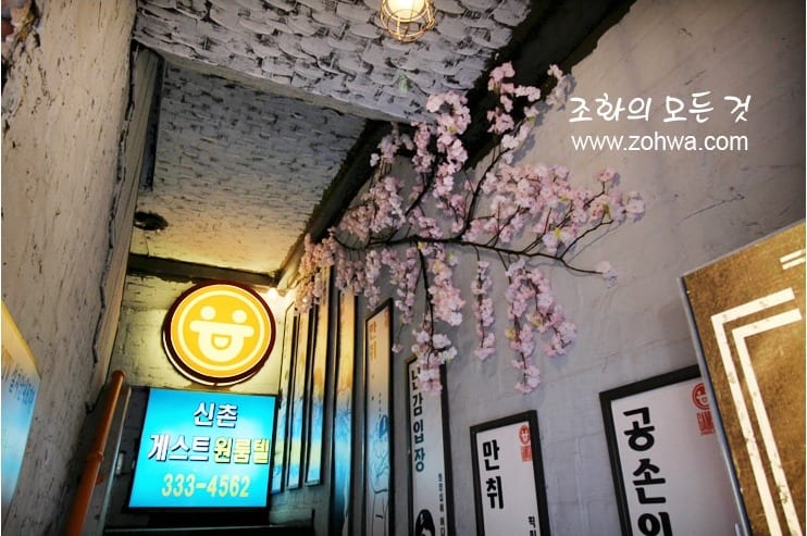 서울 신촌 감술선생 신촌점 — 천장을 덮은 벚꽃숲