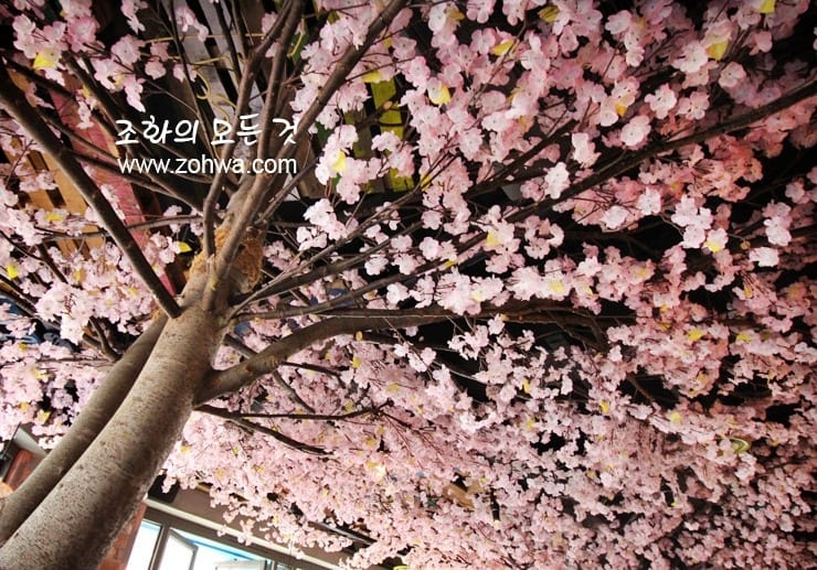 서울 신촌 감술선생 신촌점 — 천장 가득 핀 벚꽃