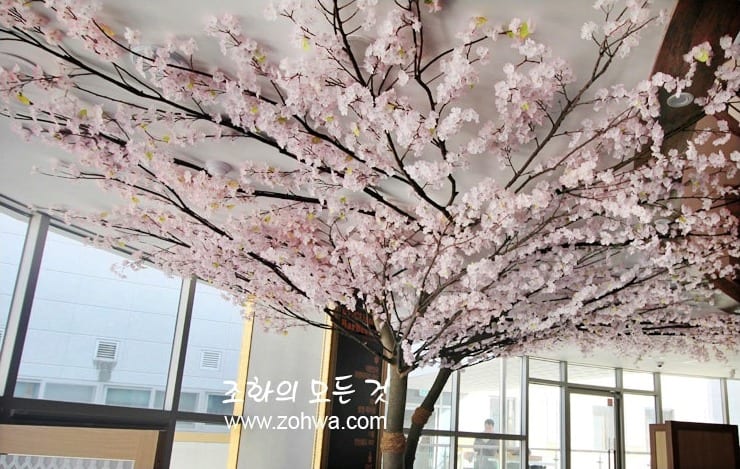 김천 원정간장게장 — 창빛에 밝게 비치는 벚꽃 포토존