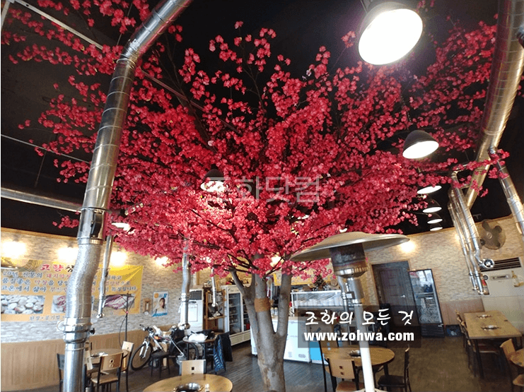 대구 고향참숯막창 — 매화 캐노피가 펼쳐진 매장 전경