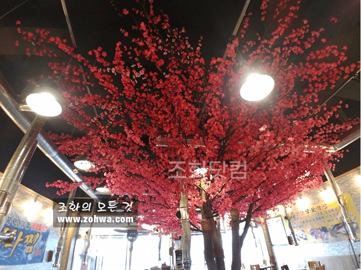 대구 고향참숯막창 — 배기덕트와 배관을 피해 채운 매화 천장