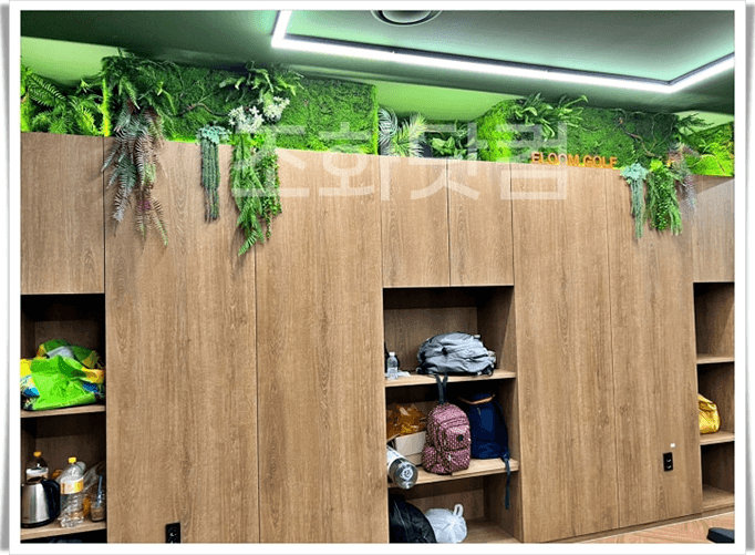 화성 이룸골프 동탄 — 우드 사물함 위에서 천장 쪽으로 늘어지는 행잉 플랜트