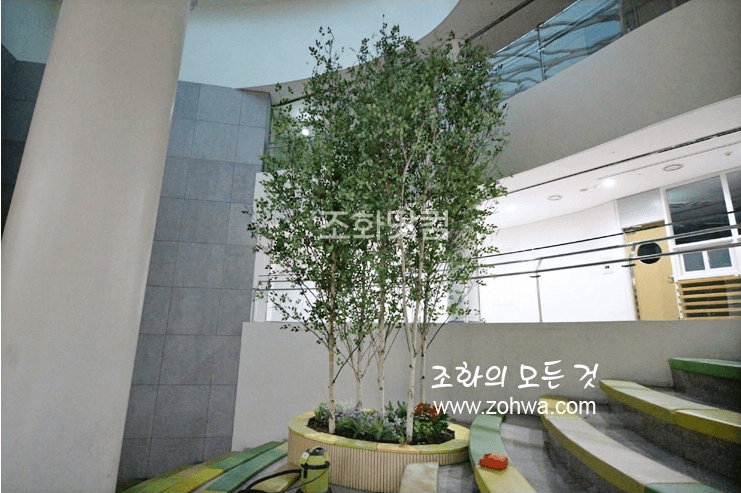 서울 경복초등학교 — 자작나무 상부와 복층 홀