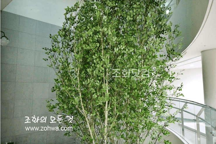 서울 경복초등학교 — 복층 로비의 자작나무