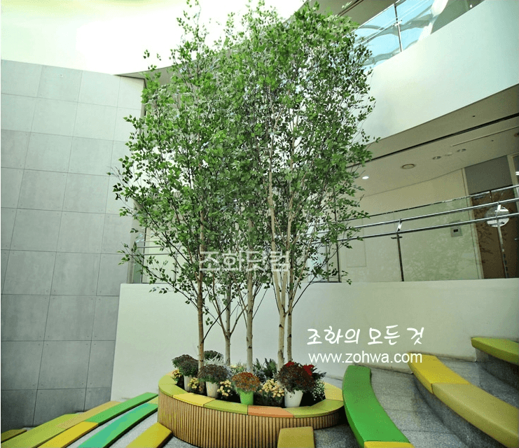 서울 경복초등학교 — 나무 아래 쉼 공간