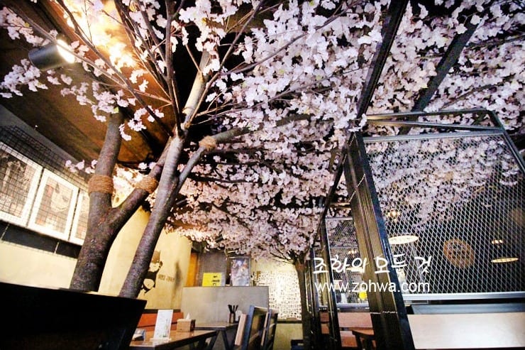 경산 쿠로배트맨 — 벚꽃 아래 좌석