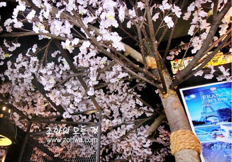경산 쿠로배트맨 — 조명에 도드라진 벚꽃나무