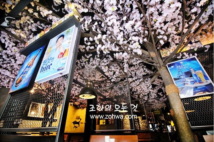 경산 쿠로배트맨 — 사케 포스터와 어우러진 벚꽃