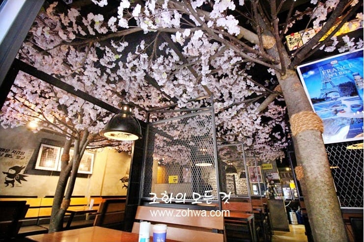 경산 쿠로배트맨 — 천장을 덮은 벚꽃과 매장 전경