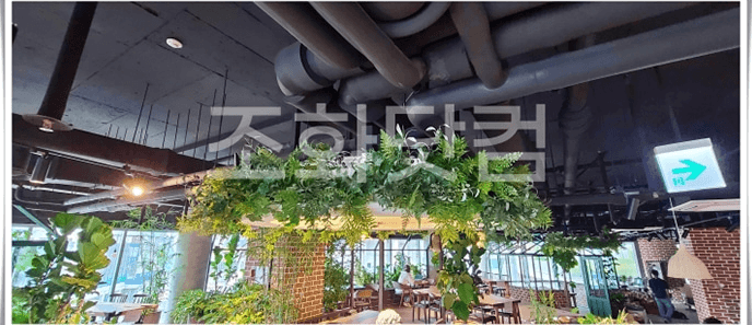 세종시 글린정원 세종점 — 노출천장 곳곳에 행잉 조경이 드리운 카페 홀 전경