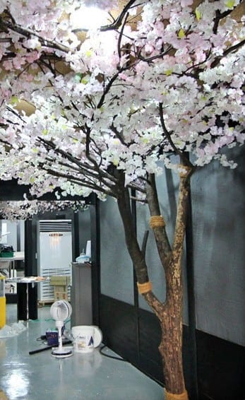 서울 일원동 회포 — 홀에 선 벚꽃나무 전경