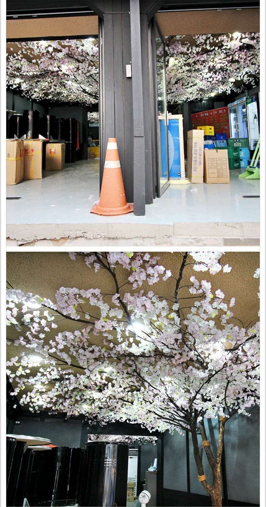 서울 일원동 회포 — 테이블 위로 드리운 벚꽃