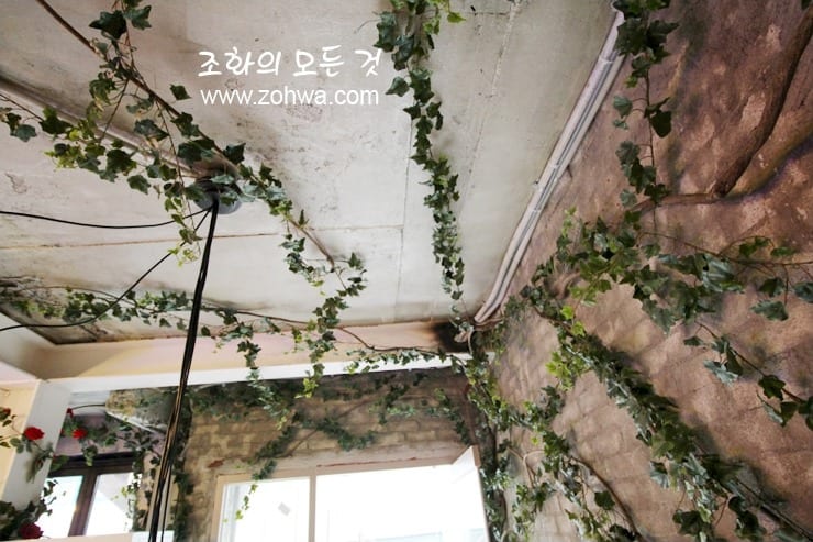 홍대 블룸스토리 — 천장을 덮은 아이비 행잉넝쿨