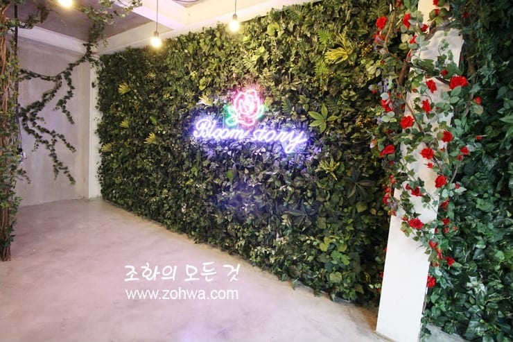 홍대 블룸스토리 — 매장 얼굴이 된 벽면녹화 벽